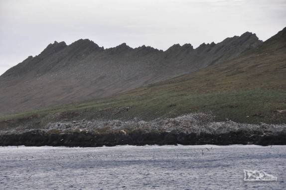 Escarpa montanhosa em Steeple Jason, no noroeste das Ilhas Malvinas
